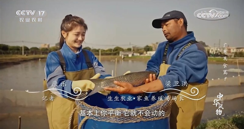 香港料精准免费