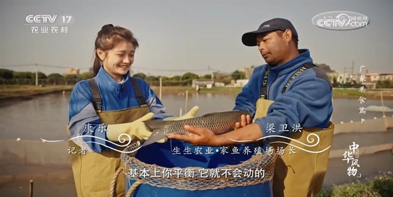 香港料精准免费