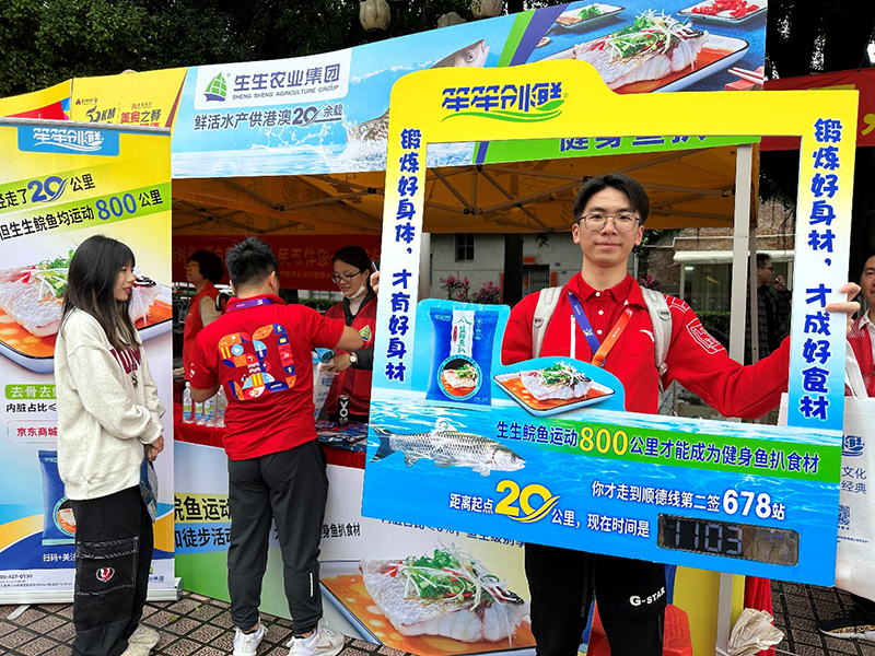 香港料精准免费