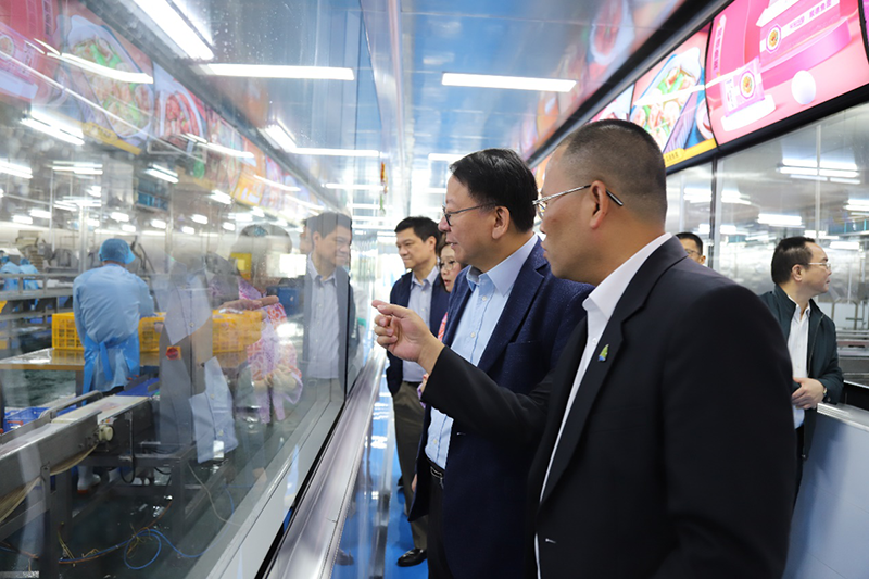 香港料精准免费