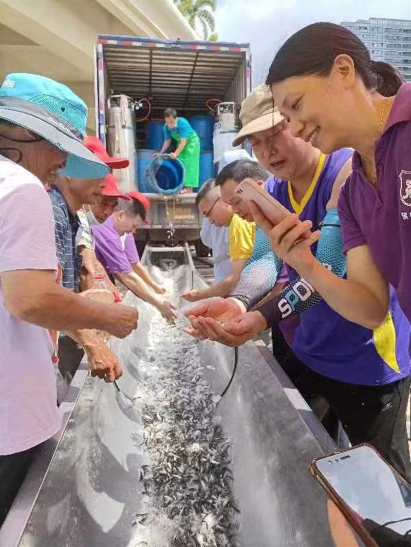 香港料精准免费