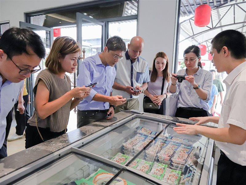 香港料精准免费