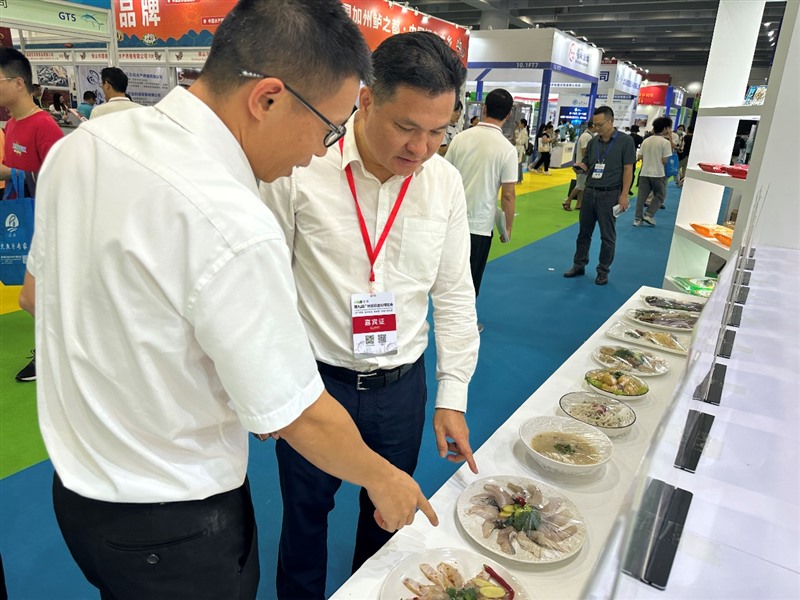 香港料精准免费